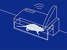 SMART Eye Step 2